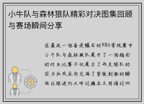 小牛队与森林狼队精彩对决图集回顾与赛场瞬间分享