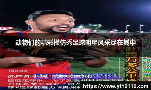 xc-sports